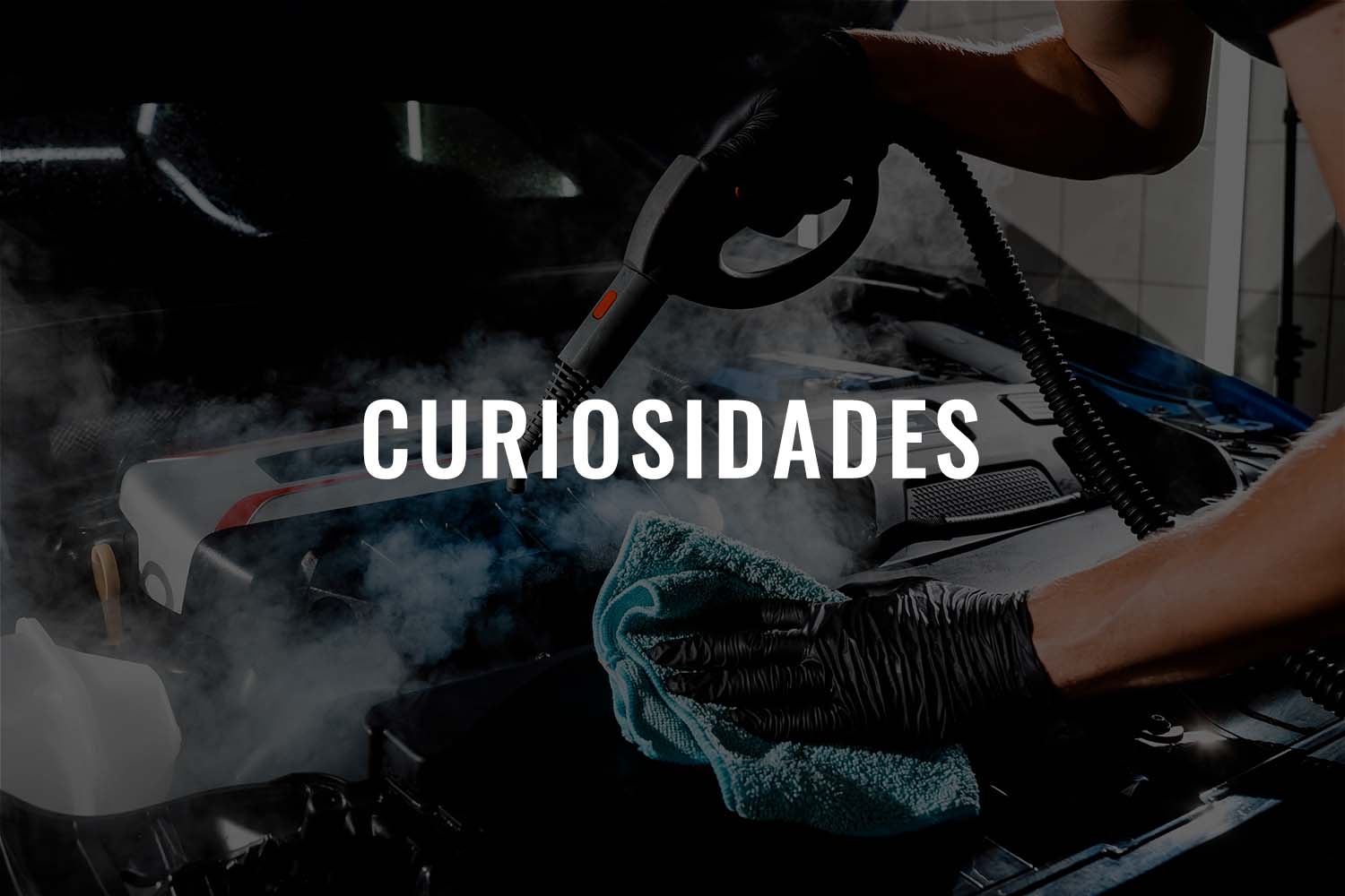 Curiosidades